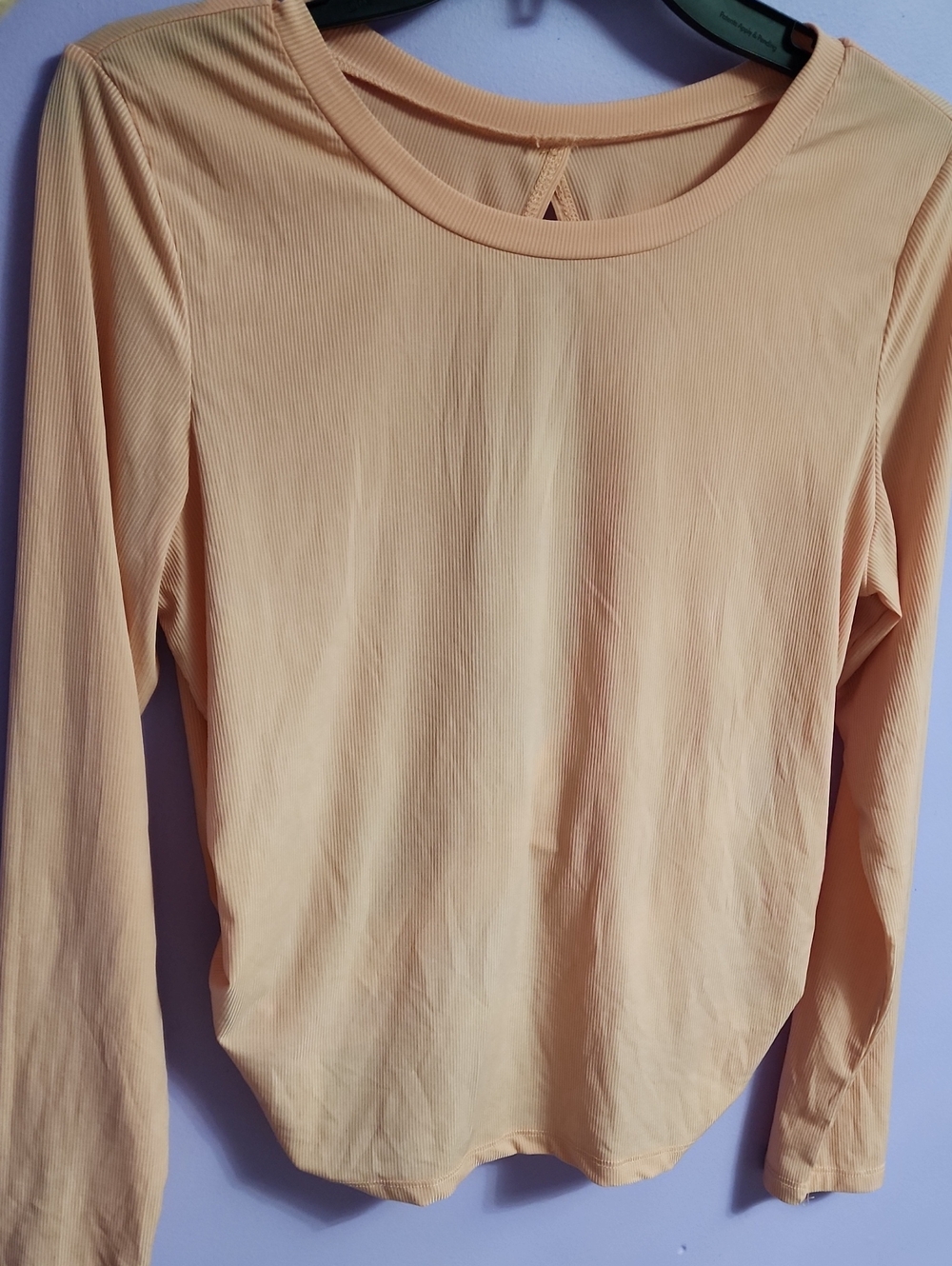 SHEIN Peach Long Sleeve Crewneck Top